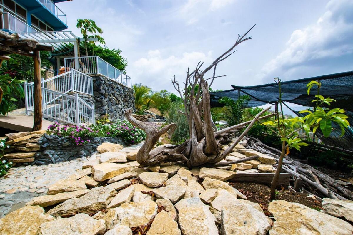 Garnet--A Gem At Dee'S Pearl Villa Carriacou Exterior photo